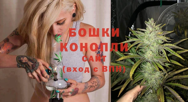 крисы Переславль-Залесский