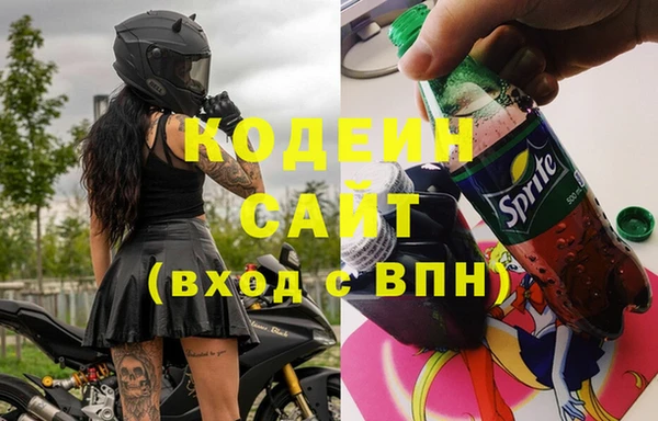 соль ск Пересвет