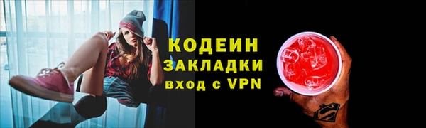 соль ск Пересвет