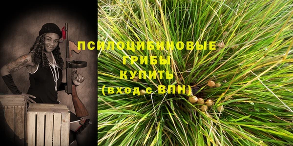 соль ск Пересвет