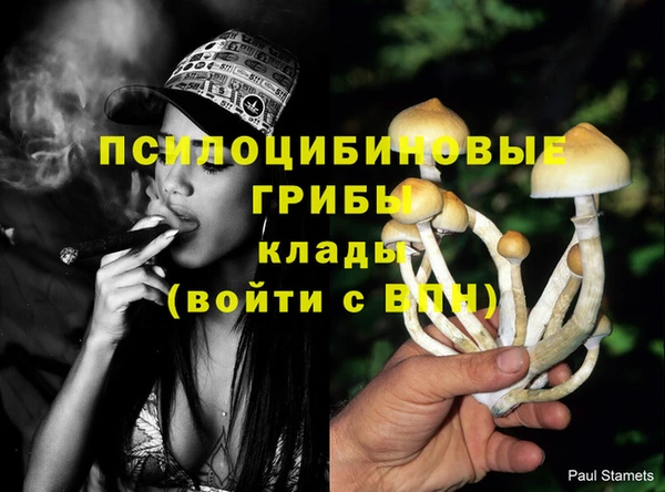 крисы Переславль-Залесский