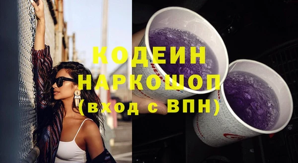 соль ск Пересвет