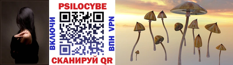 Псилоцибиновые грибы Cubensis  Богданович 