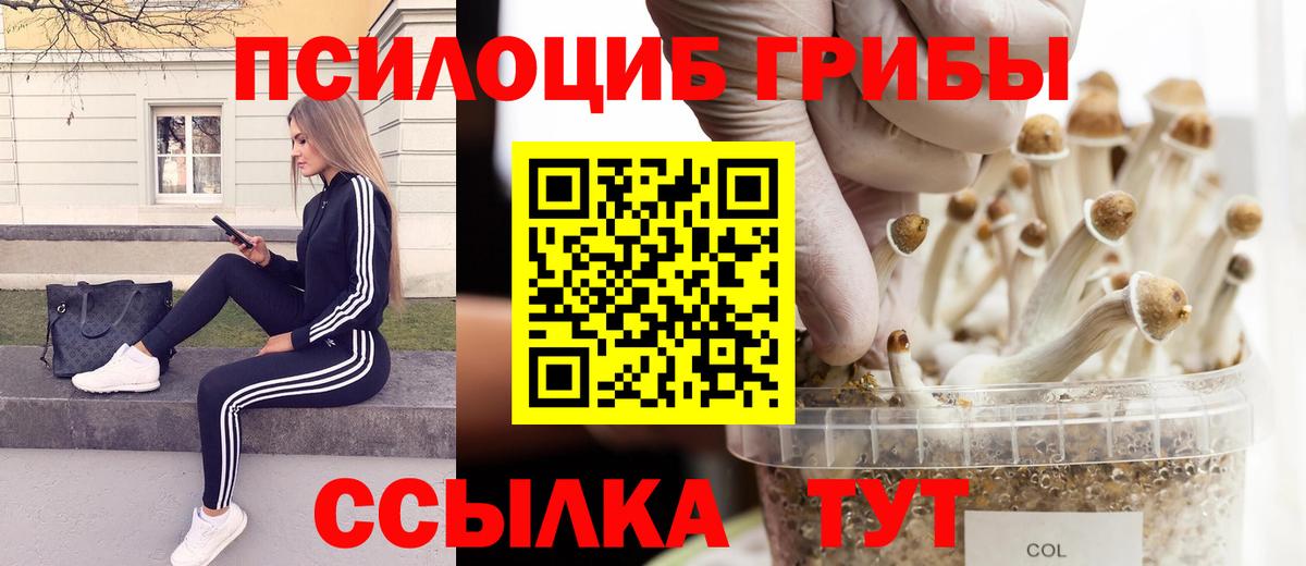 Псилоцибиновые грибы MAGIC MUSHROOMS  Богданович 