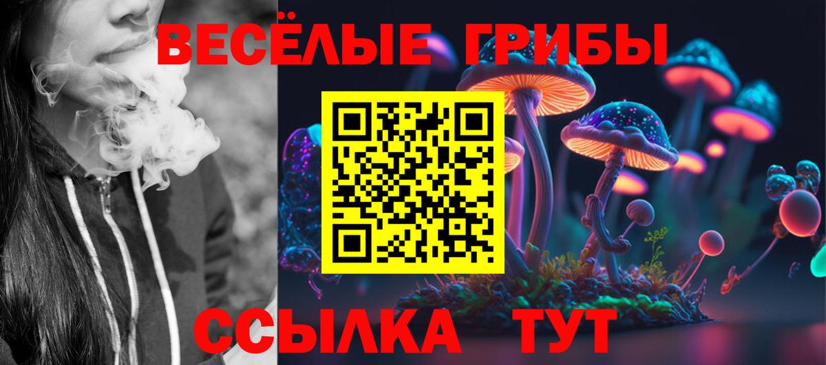Галлюциногенные грибы ЛСД  даркнет сайт  Богданович  Вход с VPN 