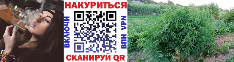 Конопля Amnesia Богданович